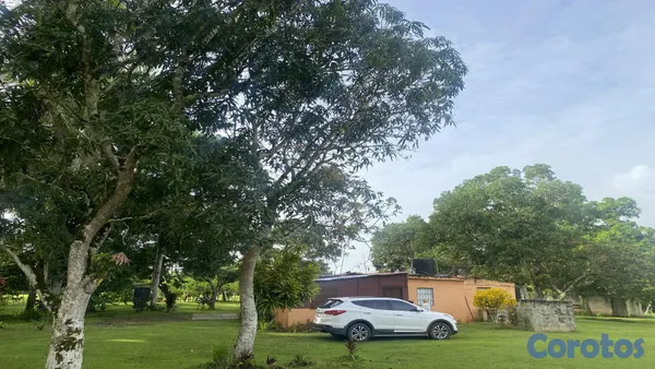 solares y terrenos - FINCA EN LA MISMA CARRETERA MONTE PLATA 6