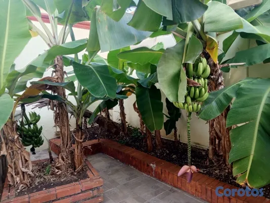 casas - Casa en Venta en el Distrito Nacional con Vista al Mar, Piscina y 4 Habitaciones 9
