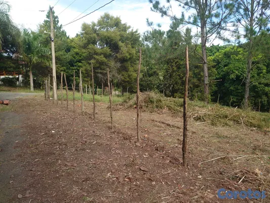 solares y terrenos - SOLAR EN VENTA EN JARABACOA 9