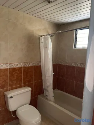 apartamentos - Apartamento amplio en alquiler en Renacimiento - 3 2