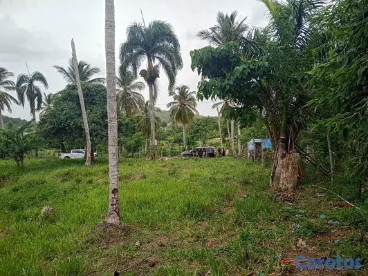 solares y terrenos - venta de terreno  6
