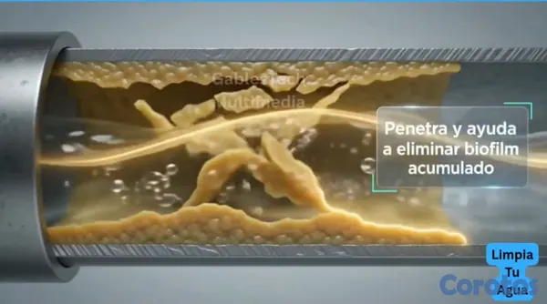 servicios profesionales - Tu FILTRO DE AGUA no elimina Bacteria, Seudomonas etc. TwinOxide es la solucion  2