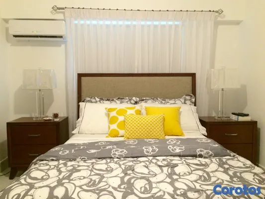 penthouses - Apto. en Gazcue, último piso con terraza 8