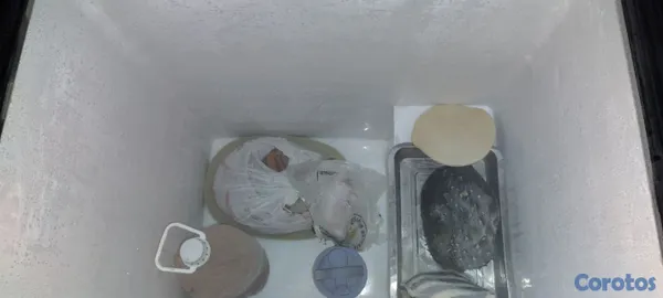 negocios en venta - carrito de comida y frezer y vitrina y estufa  6