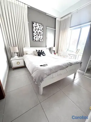 apartamentos -  Apartamento amueblado en la Esperilla de una habitación con redes sociales  7