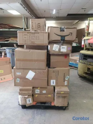 servicios profesionales - Rigo X Caja: Todo tipo de mercancía desde Canadá h 11