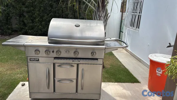 electrodomesticos - BBQ / asador  2