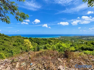 Terrenos en La Noria, Cosón desde US$70,000 – Con y sin vista al mar