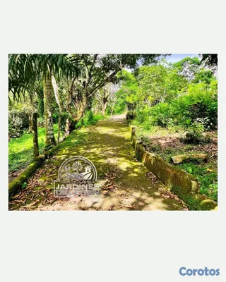 solares y terrenos - Mayor de ley🍃🏡 8