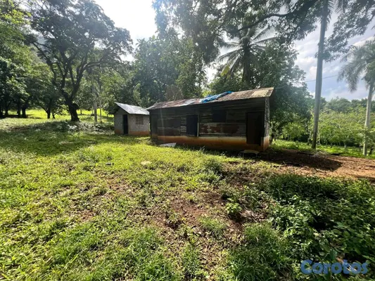 solares y terrenos - finca de criadero de animales en maimon 11