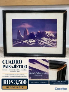 CUADRO PAISAJÍSTICO (NEGOCIABLE) USADO