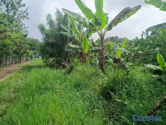 solares y terrenos - finca de 5 tareas en Monte Plata  5