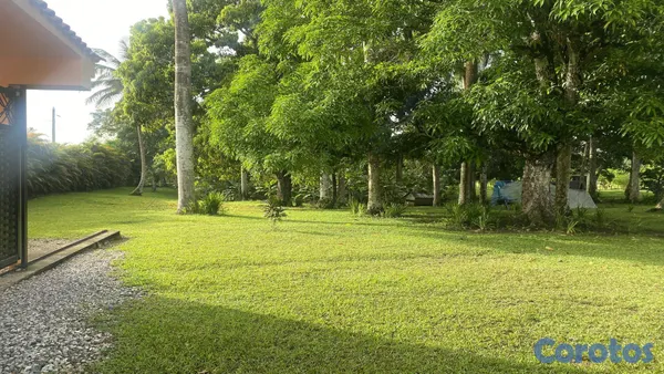 solares y terrenos - FINCA EN LA MISMA CARRETERA MONTE PLATA 5