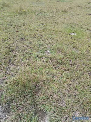 solares y terrenos - se vende terreno en punta cana bávaro ideal para Villa o 🏡 casa de campo  4