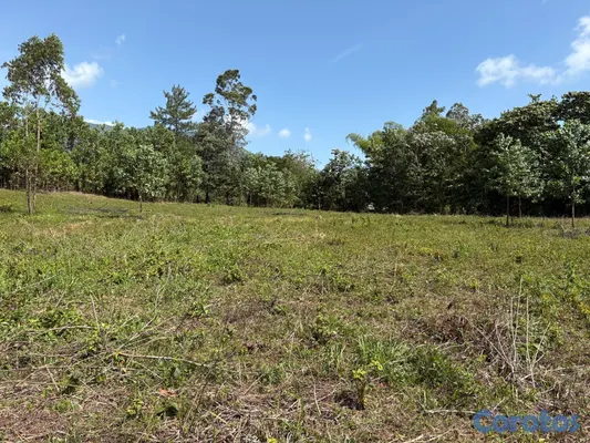 solares y terrenos - Venta de terreno en Los Mogotes, a solo 30 minutos de Santo Domingo. 5