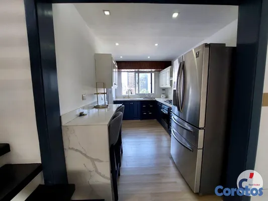 penthouses - Alquiler Penthouse de 3 Hab. con Terraza Privada e 20