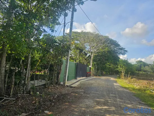 solares y terrenos - Terreno En Venta En La Joya, San Francisco De Maco 7