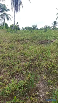 solares y terrenos - TERRENO EN ALQUILER CON OPCIÓN A COMPRA – PULGARÍN 2