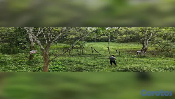 solares y terrenos - 🌿 ¡OPORTUNIDAD DE TERRENO EN BONAO, PRÓXIMO AL RÍO MASIPEDRO! 4