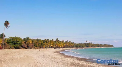 Villa Amueblada en Venta Frente al Mar en Nizao