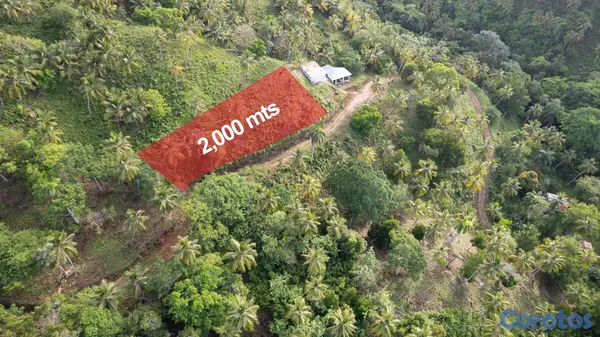 solares y terrenos - Vendo Terreno entre La Pascuala-Río los Cocos,SAMANÁ,Rep.Dominicana  4
