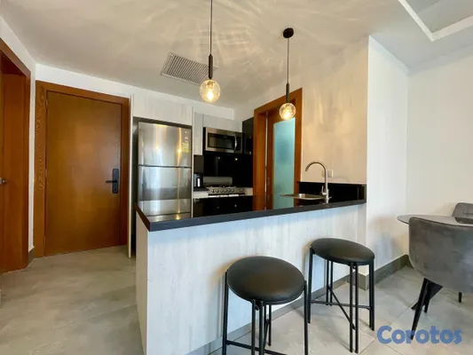 apartamentos - Apartamento en renta ubicado en Piantini Totalmente amueblado 5