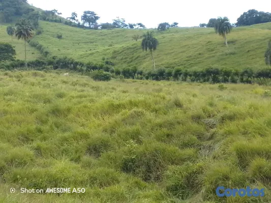 solares y terrenos - finca de 450 tareas con vocación ganadera en yamasa  11