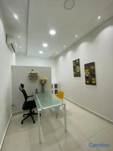 CONSULTORIOS MÉDICOS Y OFICINAS PROFESIONALES.