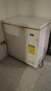 Frizzer Westinghouse