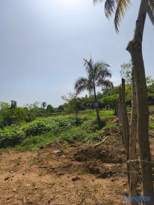 solares y terrenos - ¡SOLAR EN VENTA DE 6,000 M²! 4