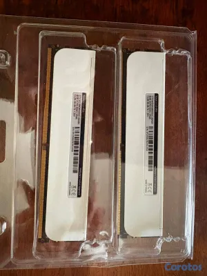 computadoras y laptops - RAM PARA PC DDR5 16GB (2x8GB) 6000MHz TEAMGROUP T-CREATE EXPERT DDR5, CL38 3