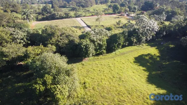 solares y terrenos - Venta de Terreno en Buena Vista en Jarabacoa  4