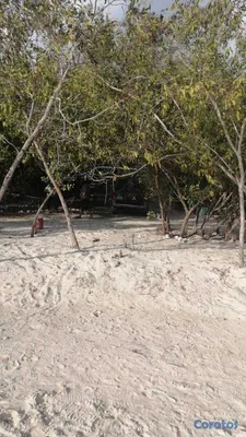 solares y terrenos - VENDO TERRENOS CON  Y SIN PLAYA EN PEDERNALES 4
