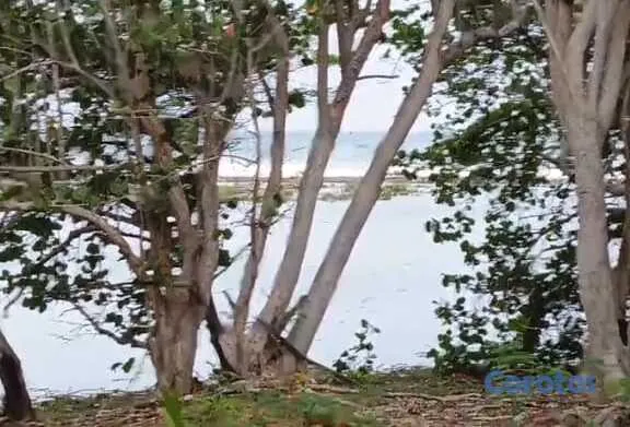 solares y terrenos - VENDO ESTE HERMOSO SOLAR DE PLAYA EN HAINA NIGUA 6