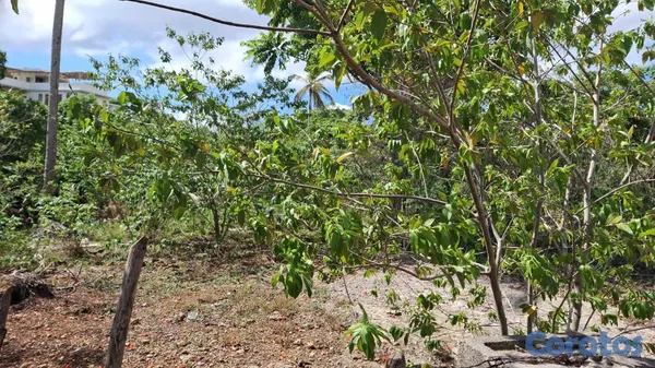 solares y terrenos - 🌴 TERRENO EN VENTA EN LAS GALERAS — A SOLO 320 MET 8
