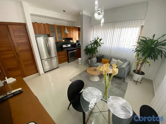 apartamentos - Apartamento Amueblado en alquiler en Piantini 5