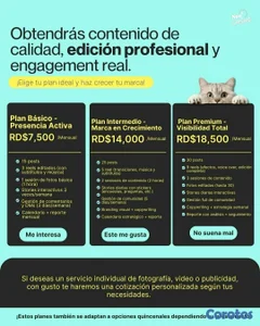 Estrategia, contenido y publicidad para tu negocio