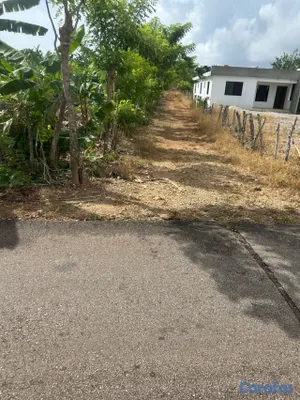 solares y terrenos - se vende en samana carretera playa ricon 6