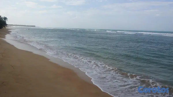 solares y terrenos - VENDO en primera linea de playa, Uvero Alto 3