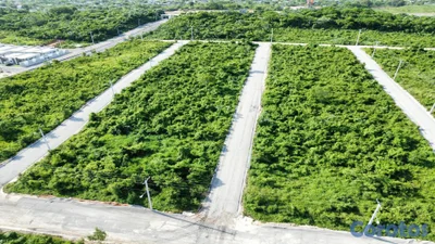 Proyecto Cerrado de Solares en la Ecológica
