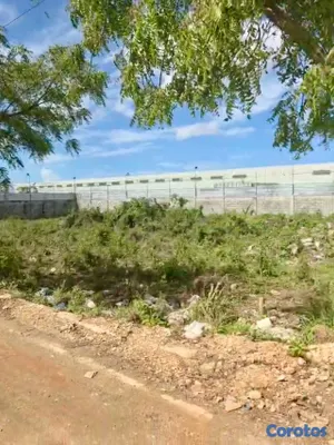 solares y terrenos - Se alquila solar en la zona Industrial Las Américas 3