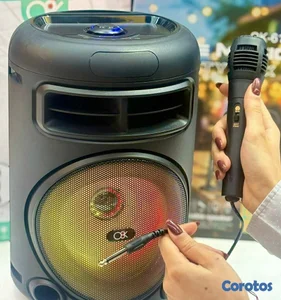 BOCINA SPEAKER 6.5" OK-617