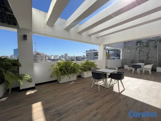 apartamentos - Apartamento en Alquiler en Piantini Amueblado de U 4