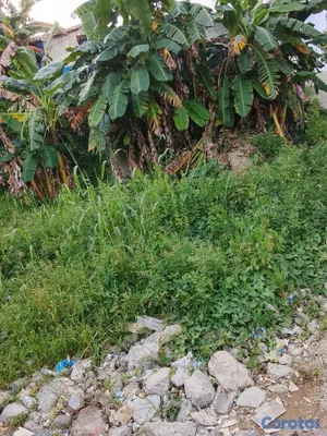 casas - Vendo casa con terreno solo acto de venta notariza 2