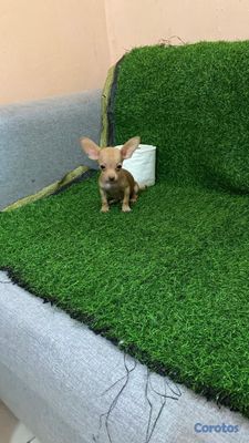 seller-logo