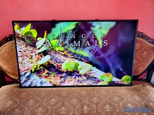 tv - smart tv 50 de oportunidad  2