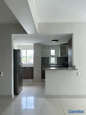 apartamentos - Apartamento en Alquiler de 2 Habitaciones con Línea Blanca - Piantini  4