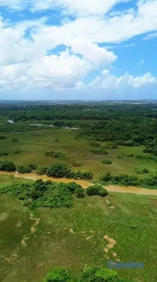 solares y terrenos - Terreno de 1,037,625 m² en venta en La Victoria 15