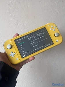 Nintendo switch lite