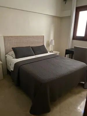 apartamentos - Alquiler Apartamento Amueblado de 1 Habitación con piscina en la Zona Colonial 5